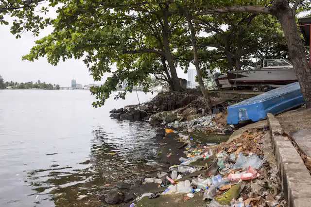 Why did the CORFO lagoon turn pink?