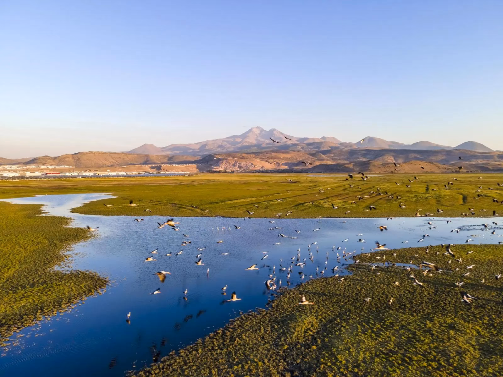 Where can I find a list of site contamination information?