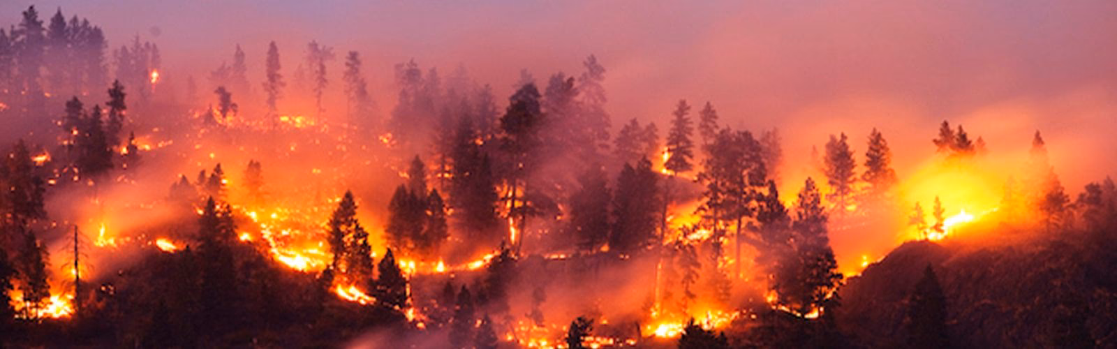 ¿Cuáles son las variables que intervienen en el fenómeno de los incendios forestales?