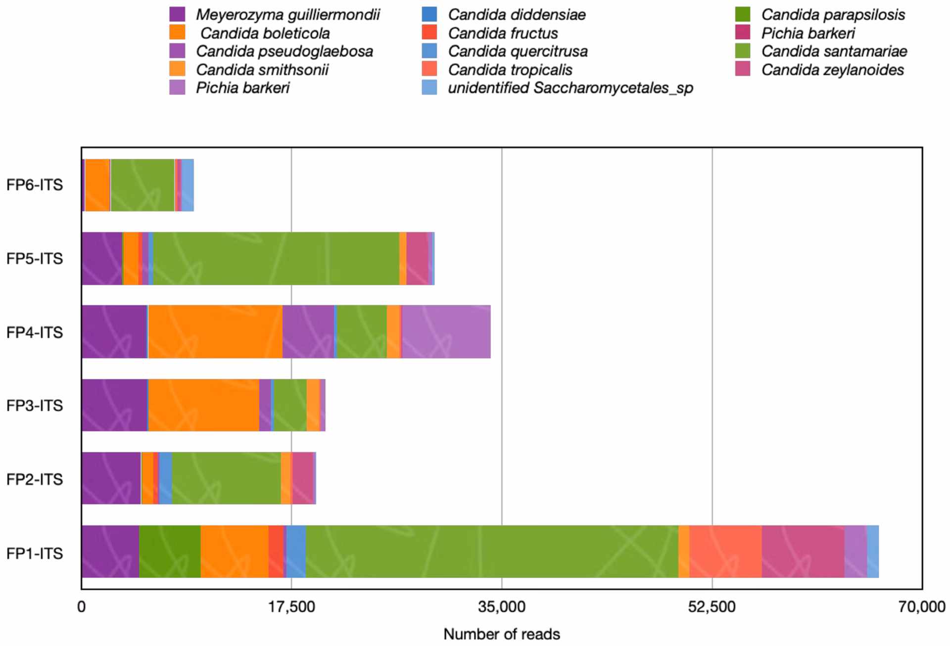 What causes postharvest rot of strawberries?