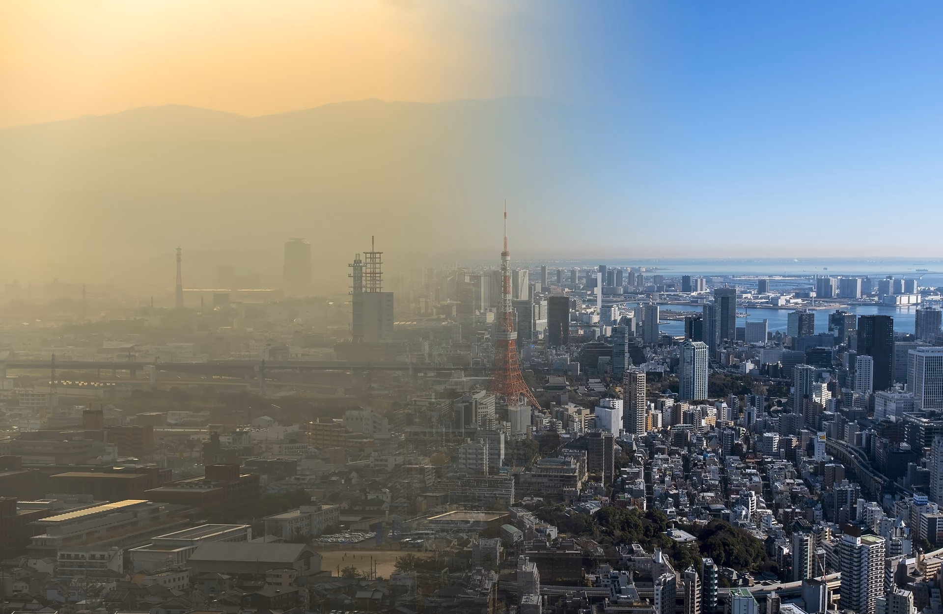How serious is air pollution in Tokyo?