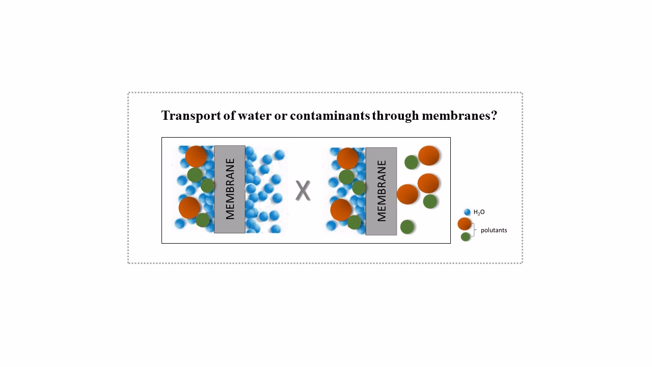 Do coexisting ions and pollutants affect membrane filtration and degradation?