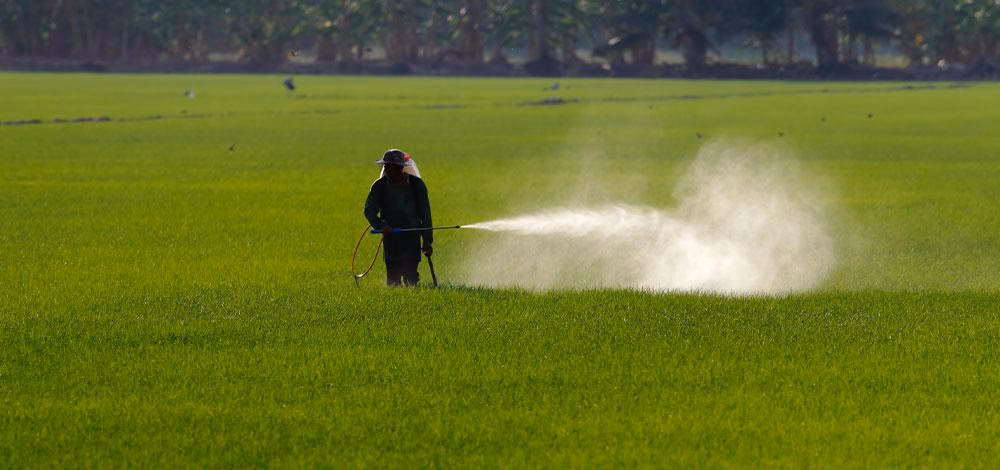 How agrochemicals affect soil health?