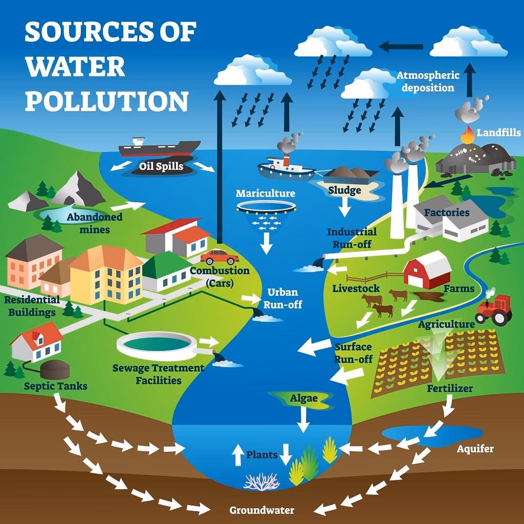 Why is water so vulnerable to pollution?