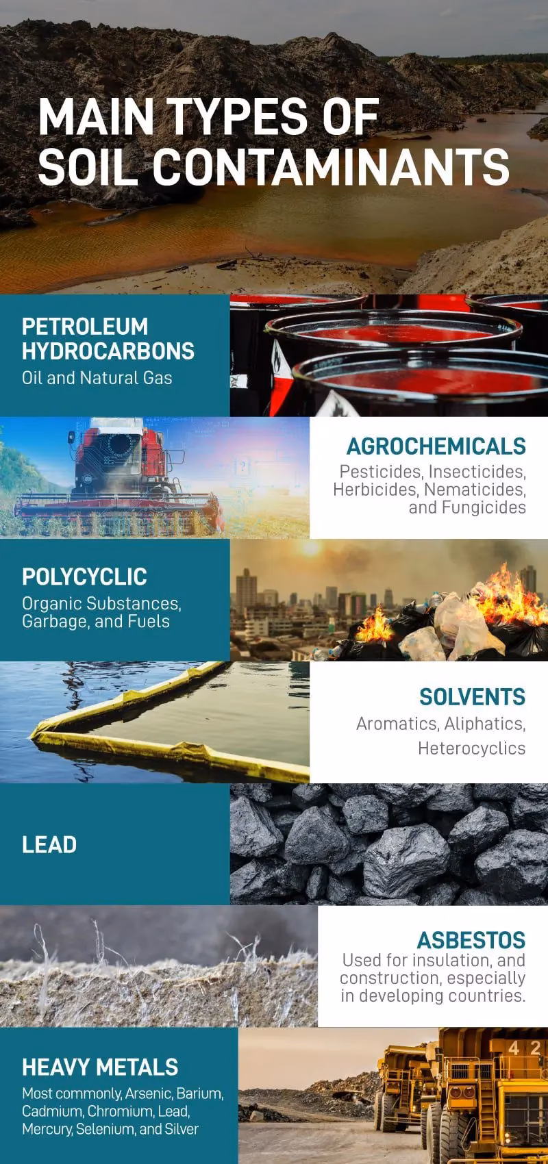 What are the different types of pollution-related diseases?