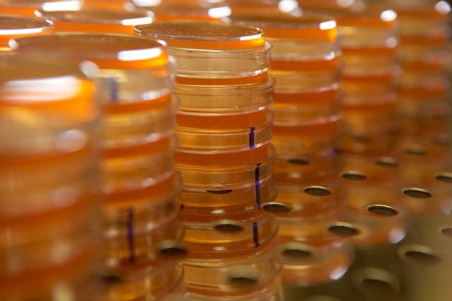 What is contamination testing & detection & analysis?