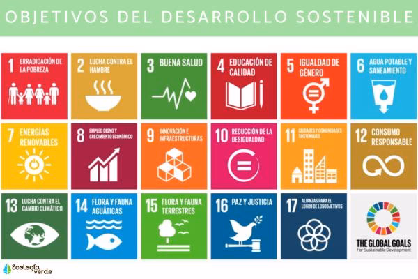 ¿Cómo lograr el desarrollo sustentable?