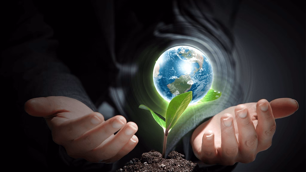 ¿Cuáles son las oficinas de cambio climático?