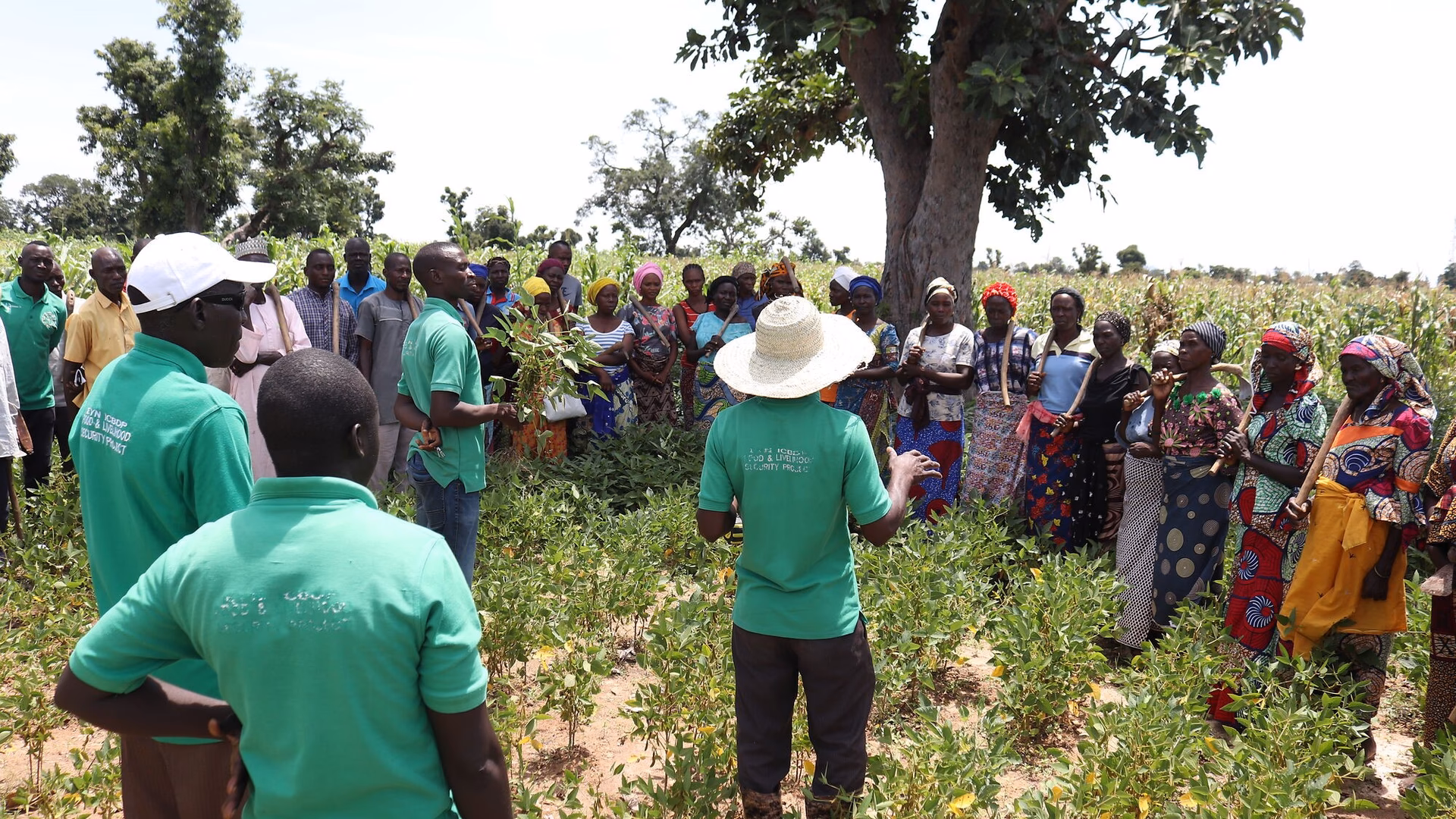 ¿Cuál es el objetivo de la cooperación internacional en las políticas ambientales deColombia dirigidas a mitigar los?