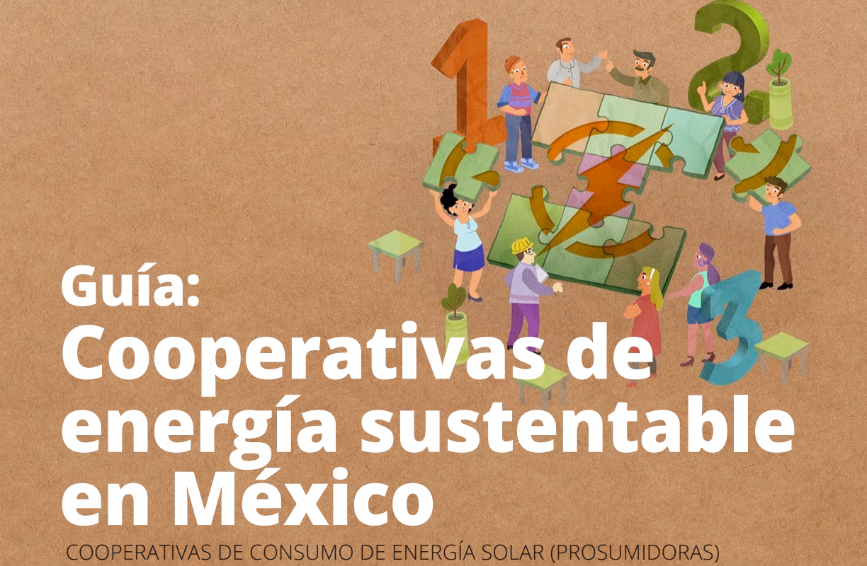 ¿Cuáles son las pautas cooperativas fundamentales?