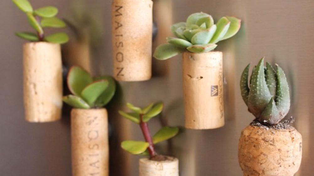 ¿Cómo se puede reciclar el corcho de vino?