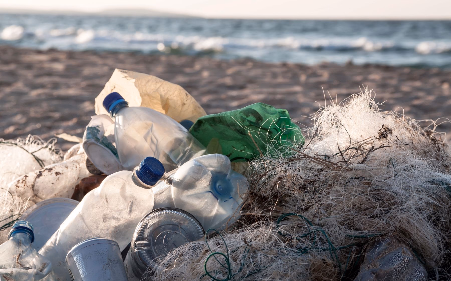 ¿Cuál es el impacto del vertido de aguas residuales en Corea del Sur?