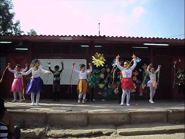 ¿Cómo ha cambiado el Medio Ambiente y la meteorología en estos años?