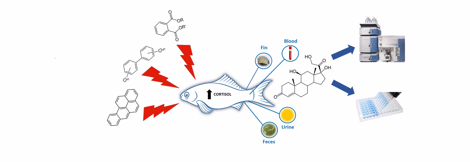 What causes impaired cortisol stress response in fish?