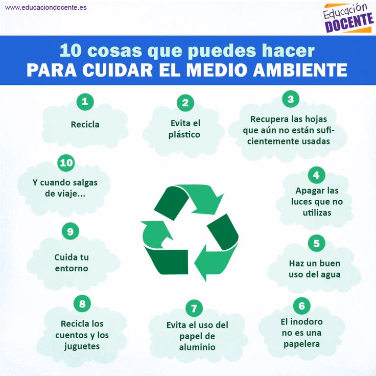 ¿Cuáles son los conceptos clave relacionados con el medio ambiente?