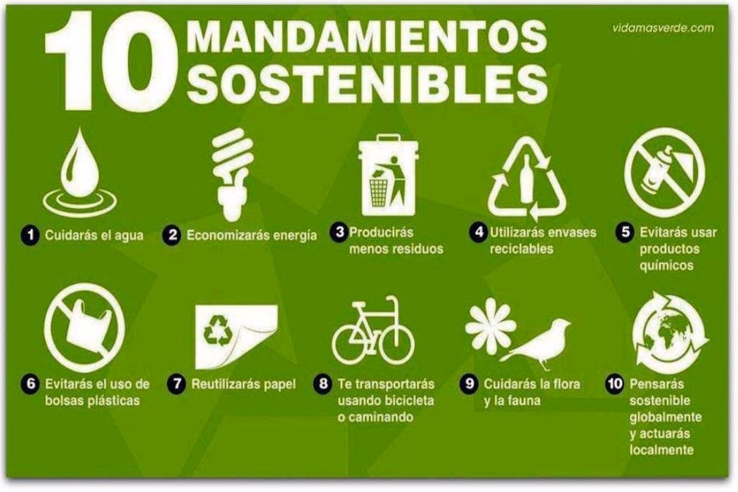 ¿Cómo cuidar el medio ambiente?