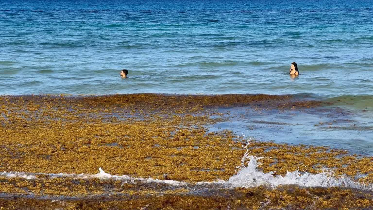¿Cuál es la playa más contaminada de Florida?