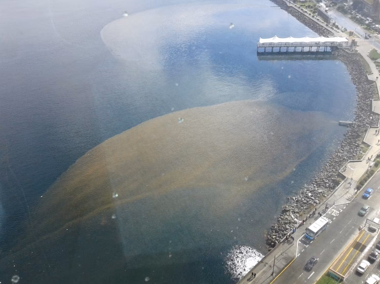 ¿Cómo evitar la contaminación de la costa?