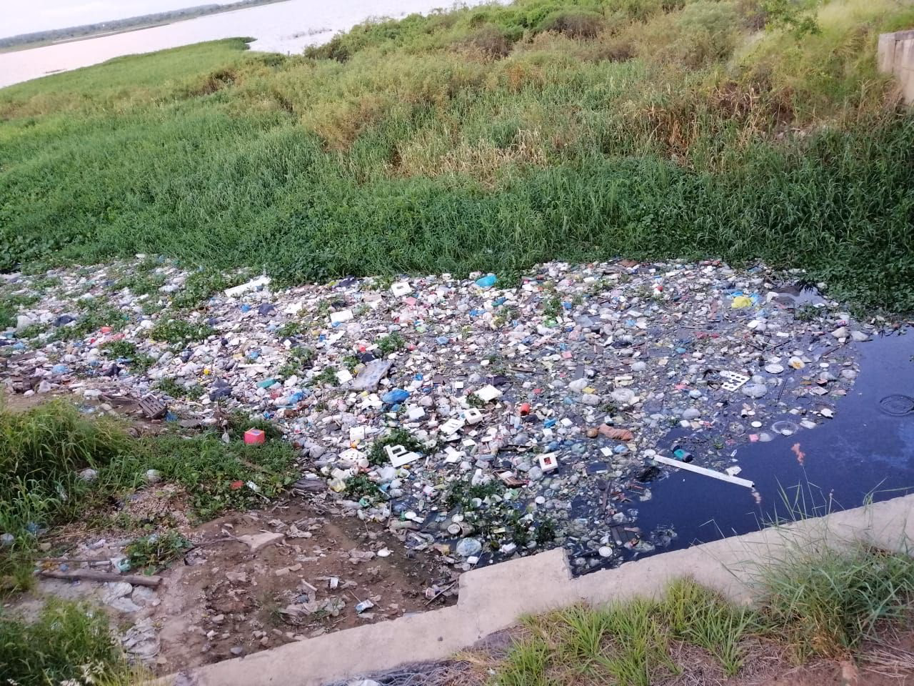 ¿Cuáles son los contaminantes plásticos?