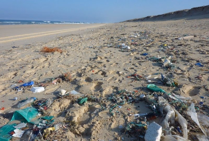 ¿Qué pasó con las playas contaminadas en Argentina?