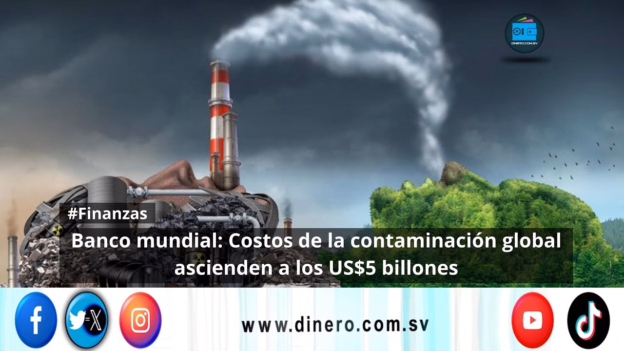 ¿Cuáles son los costos de la contaminación atmosférica?
