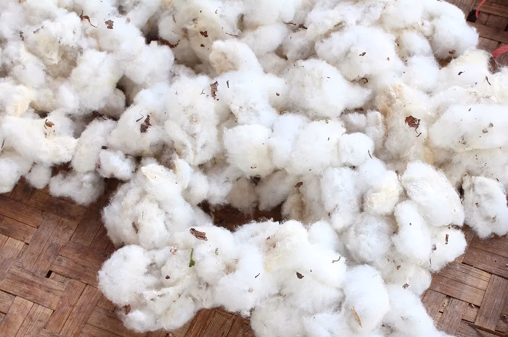 What is the cotton contamination survey 2019?