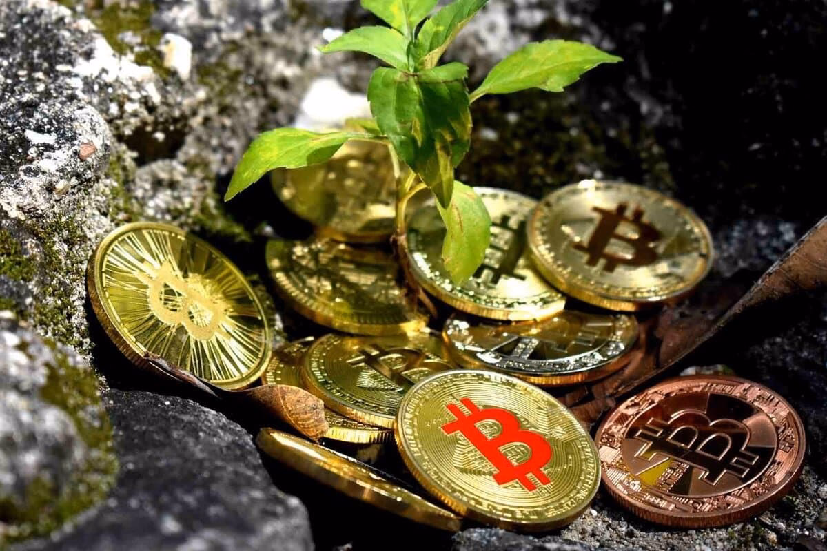 ¿Cómo afecta la criptomoneda al medio ambiente?