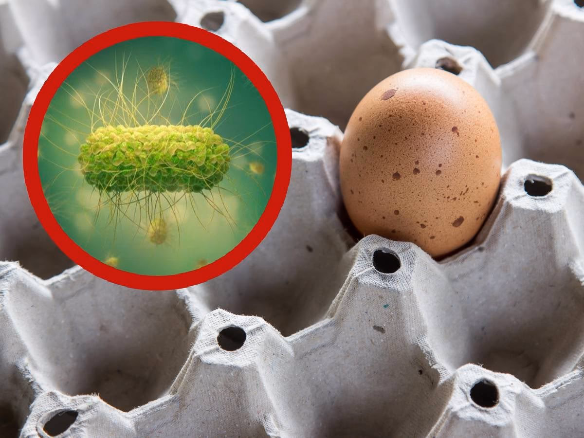 ¿Por qué la FDA suspendió la producción de huevos?