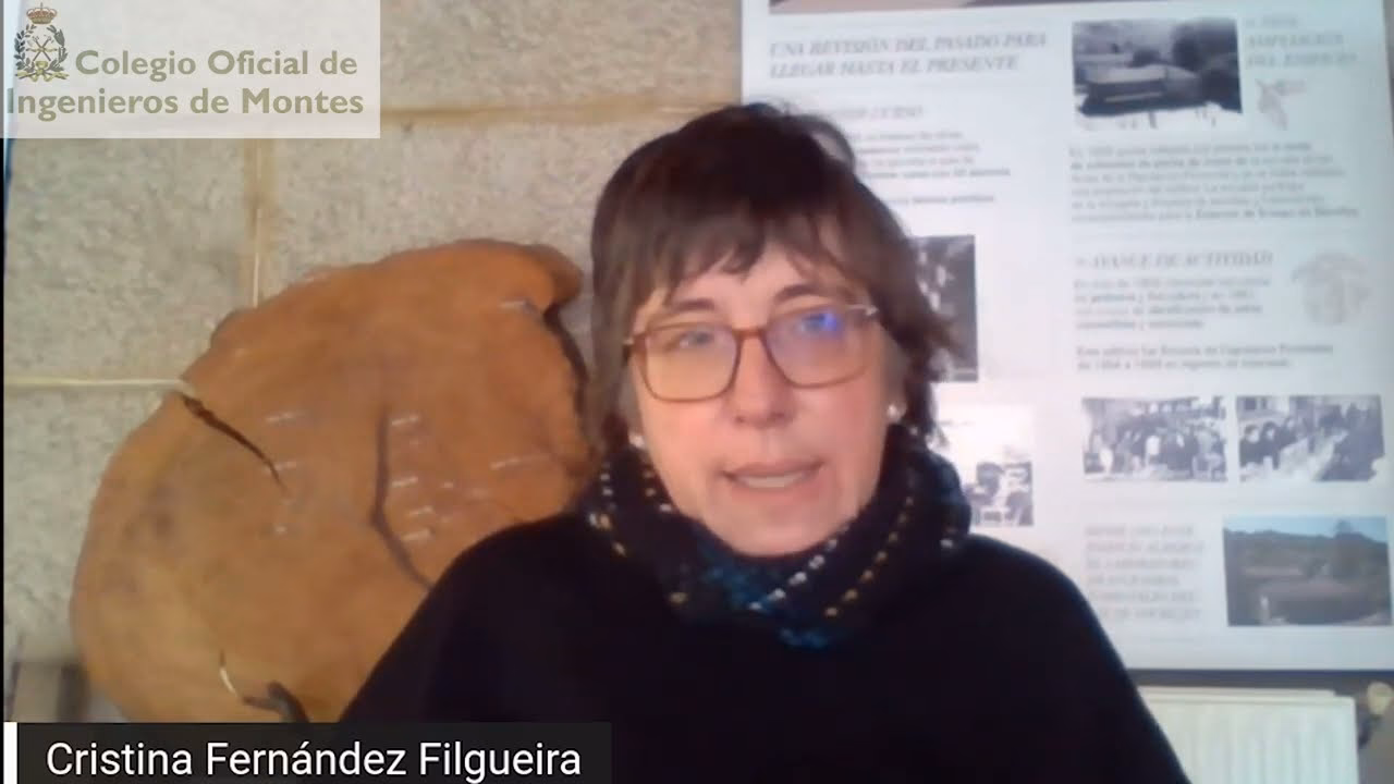 ¿Cuáles son las contribuciones de Christiana Figueres al diseño del régimen de cambio climático?