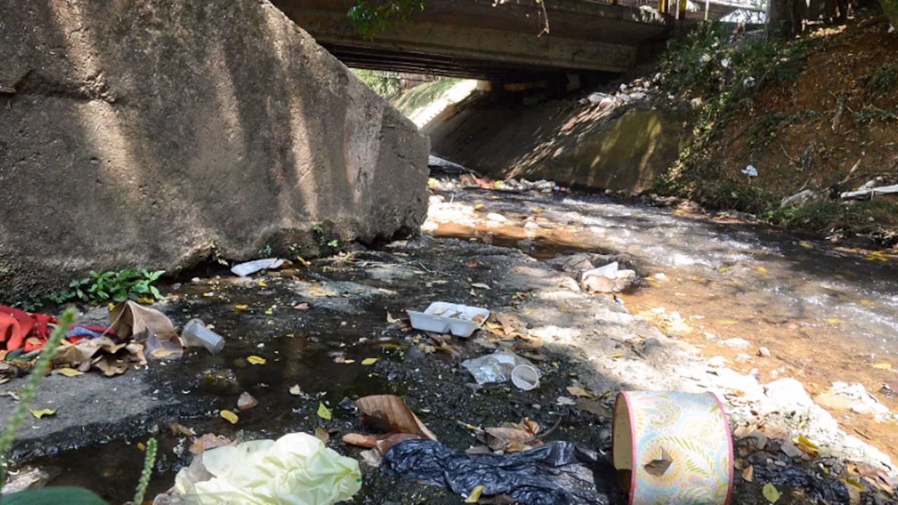 ¿Por qué no podemos esperar beneficios de la contaminación?