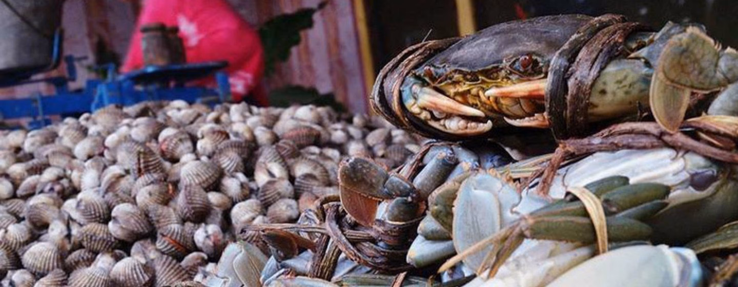 ¿Qué pasa si como moluscos contaminados?