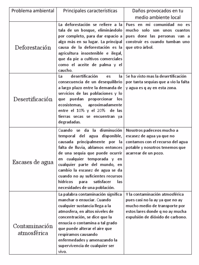 ¿Qué es la degradación forestal?