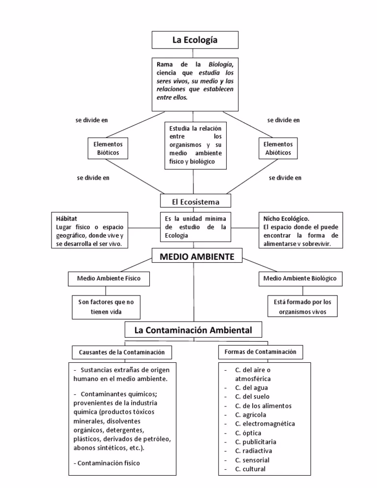 ¿Cuáles son los diferentes tipos de ecosistemas?