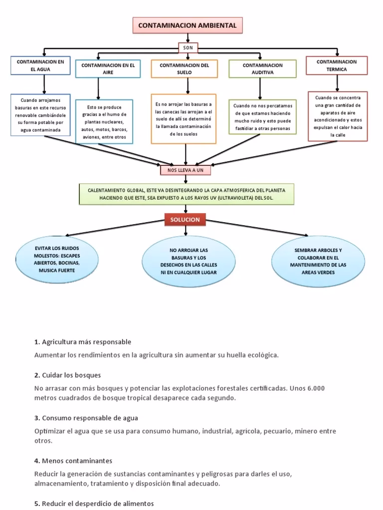 ¿Cuáles son las características de la contaminación?