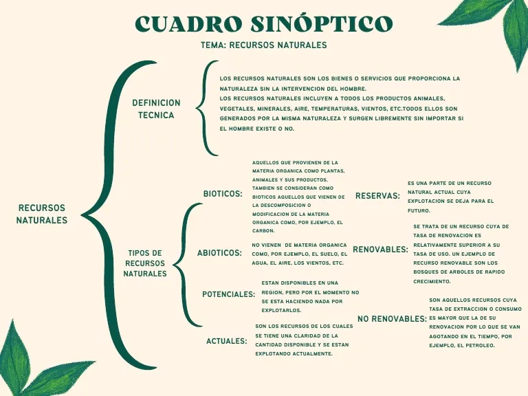 ¿Cuál es el principio del cuidado y conservación del Medio Ambiente?