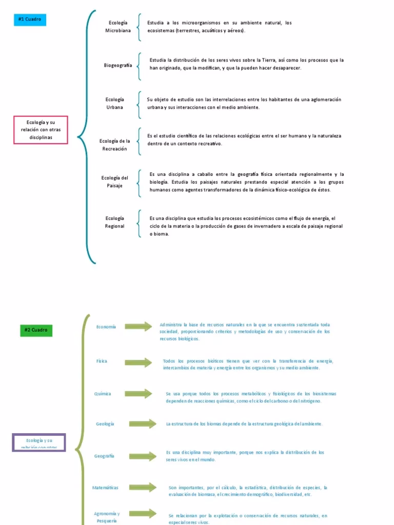 ¿Qué es una visión ecocéntrica del Medio Ambiente?