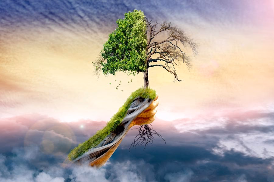 ¿Cómo ha evolucionado la temperatura global en verano?