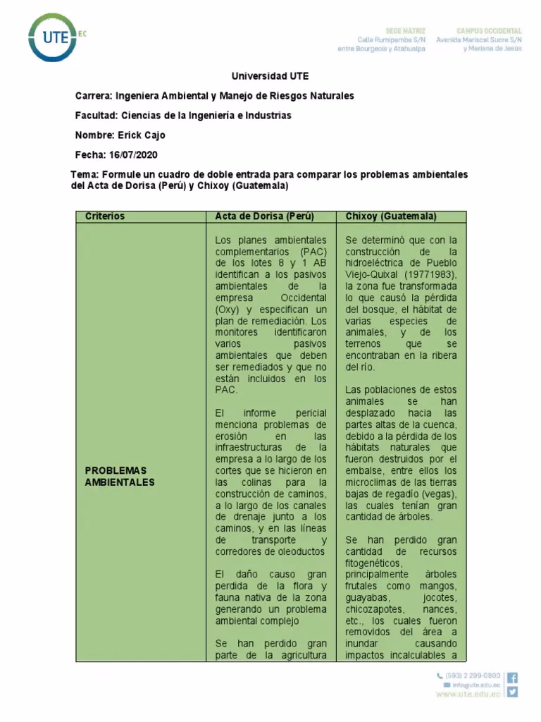 ¿Cómo organizar y participar en el cuidado del ambiente?
