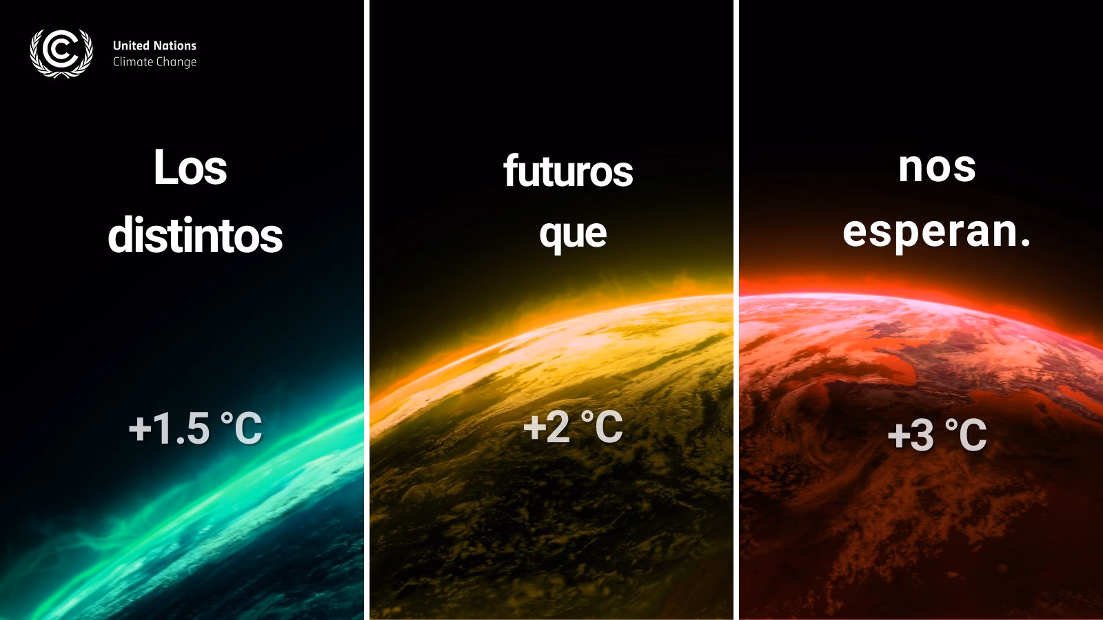 ¿Cómo afecta la deforestación al calentamiento global?