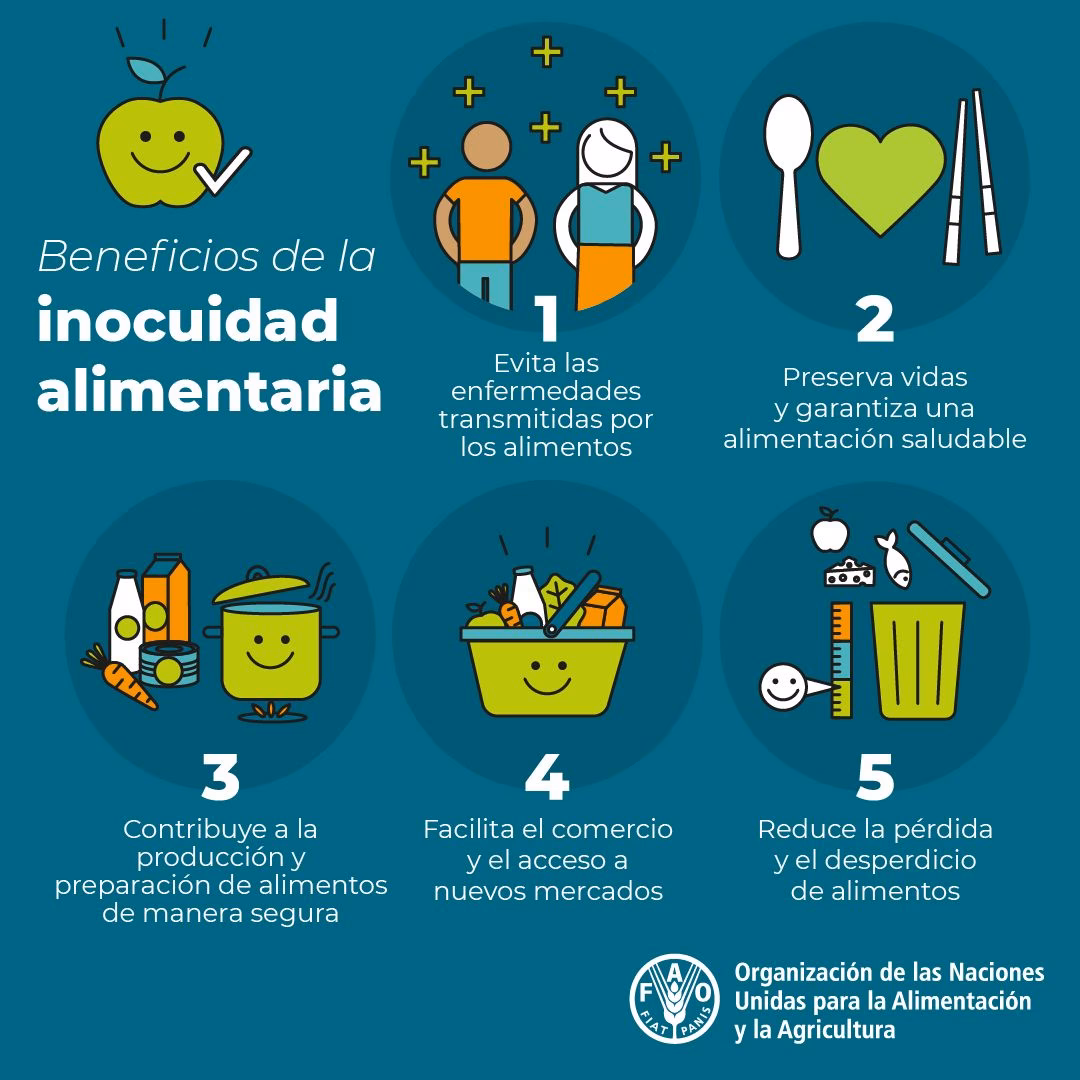 ¿Qué es la inocuidad de un producto?