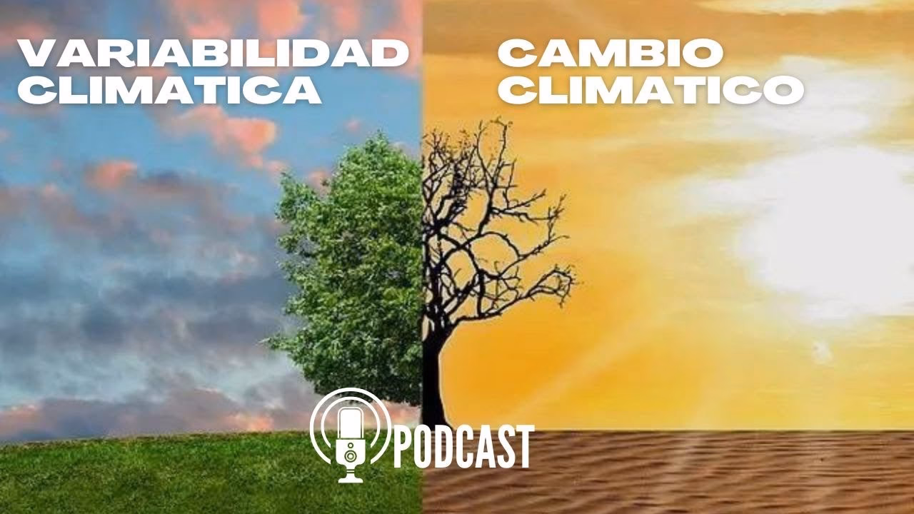 ¿Cuáles son las formas de variabilidad natural que pueden producir cambios en el clima?