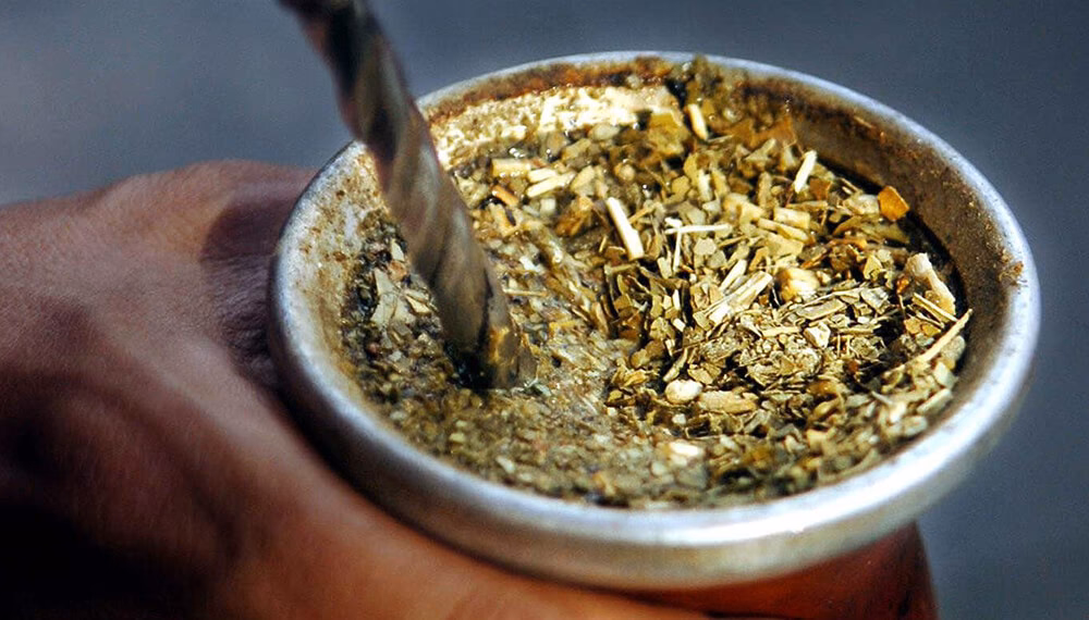 ¿Cómo se cultiva la yerba?