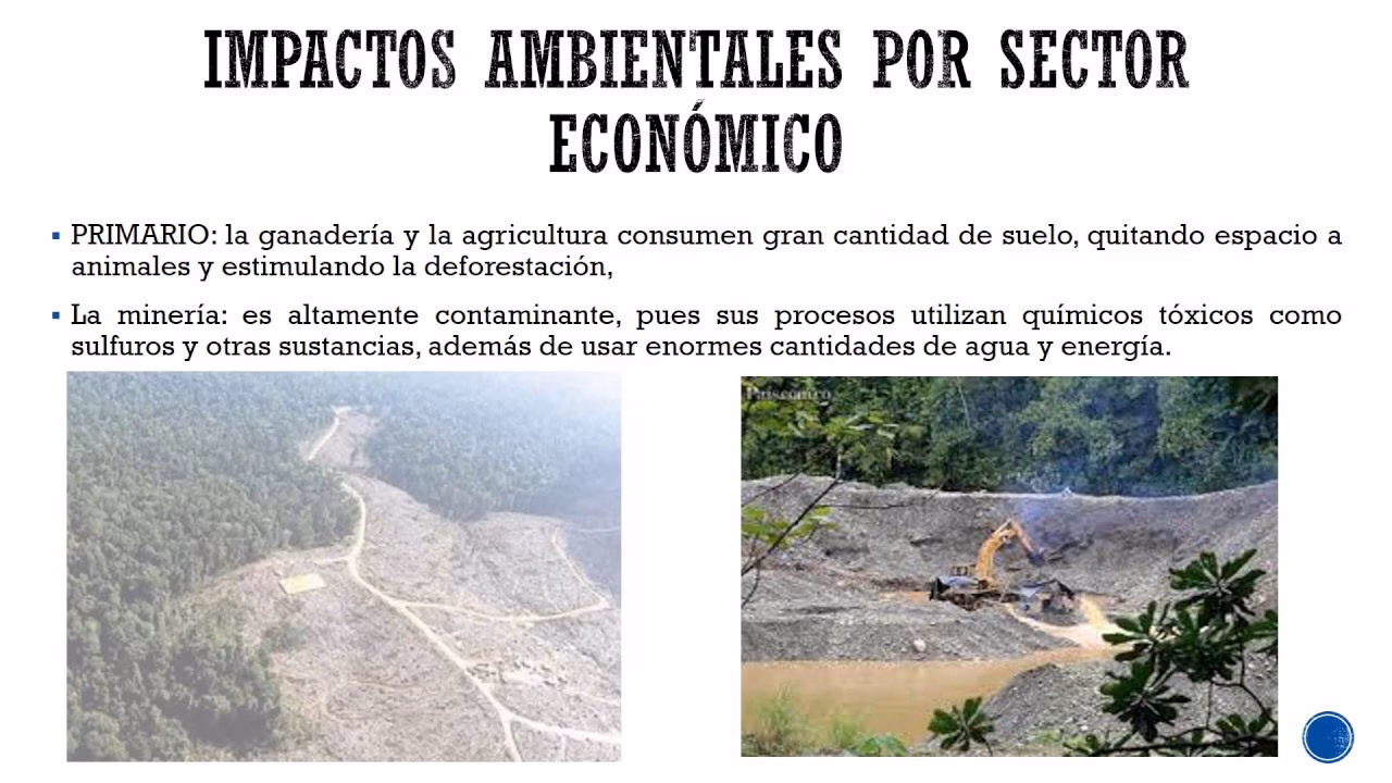 ¿Cuáles son los efectos del crecimiento económico en el medio ambiente?