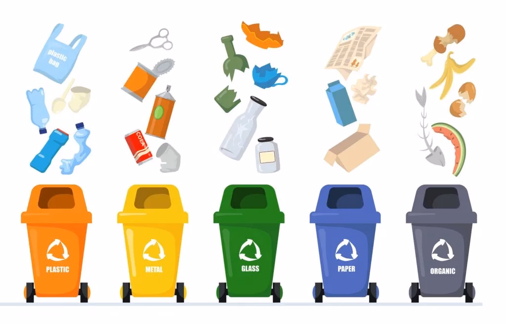 ¿Cuáles son los procesos que se dan durante el reciclaje?