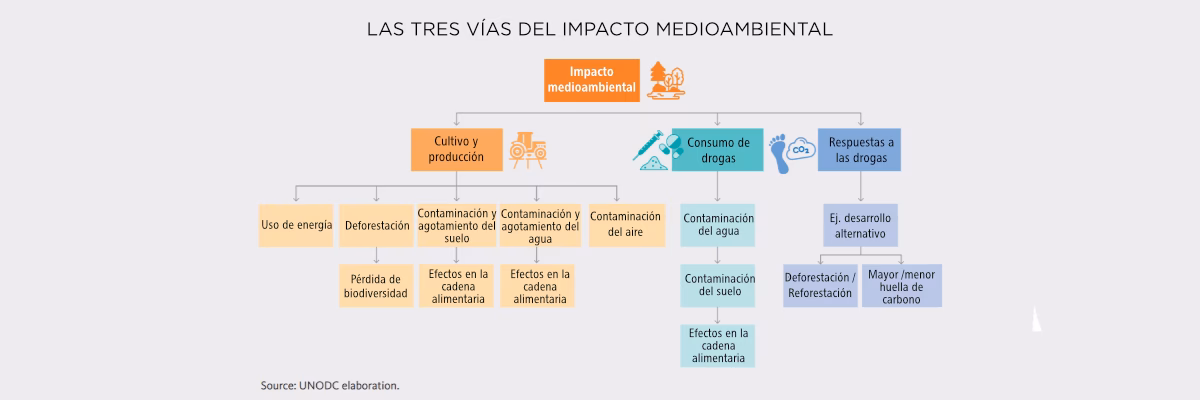 ¿Cómo afecta el narcotráfico a la sociedad?