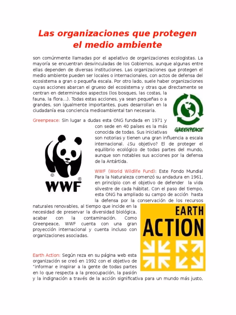 ¿Cuáles son las organizaciones internacionales protectoras del Medio Ambiente?