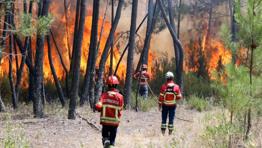 ¿Cuáles son los riesgos ambientales que dominan el panorama?