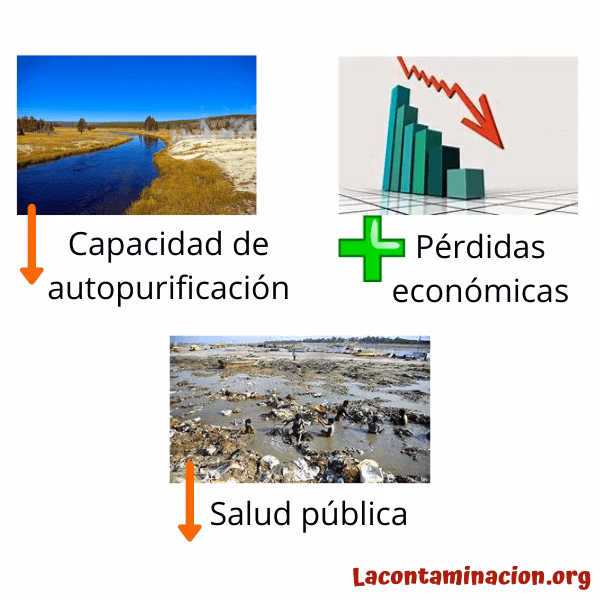 ¿Cómo podemos educar a otros sobre la contaminación del agua?