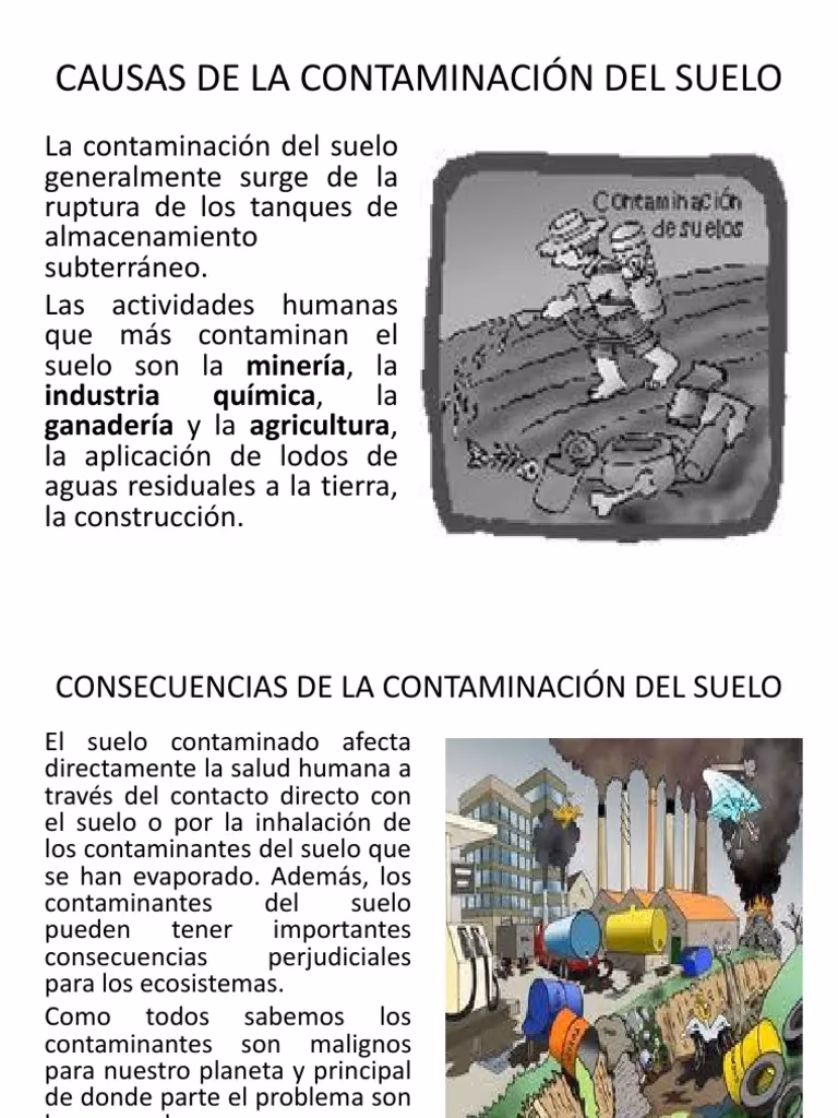 ¿Cómo prevenir la contaminación del suelo?