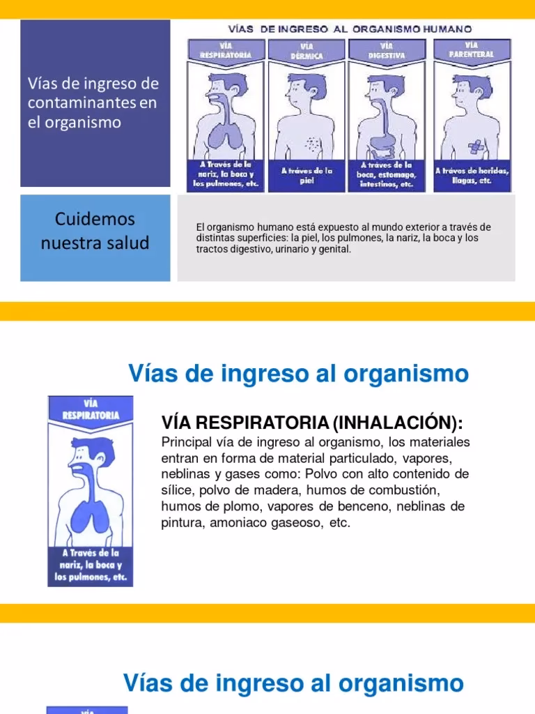 ¿Cuáles son los contaminantes industriales?